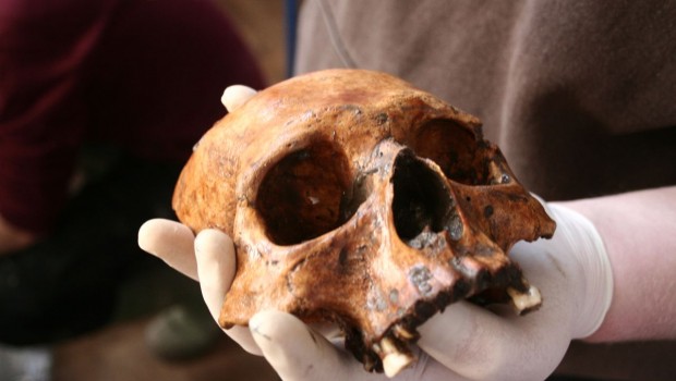 Vondsten archeologisch onderzoek kerk Garsthuizen