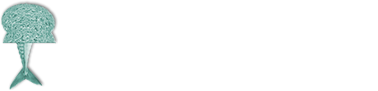 Voedselbank het hogeland